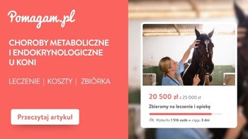 Choroby metaboliczne i endokrynologiczne u koni – koszty diagnozy i leczenia – kosztorys 2026