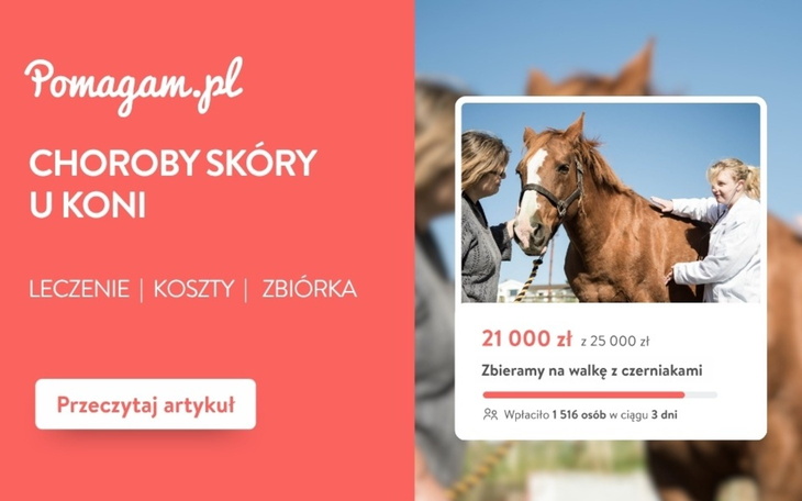 Sarkoidy, czerniak, gruda u konia – ile kosztuje diagnoza i leczenie? – kosztorys 2026