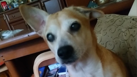 Zdjęcie aktualizacji 100 016