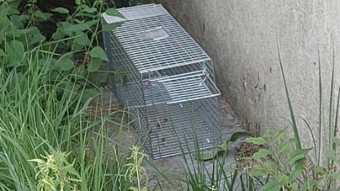 Zdjęcie aktualizacji 100 048