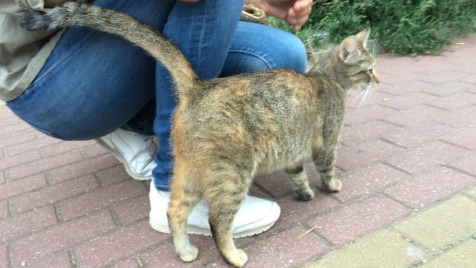 Zdjęcie aktualizacji 100 089