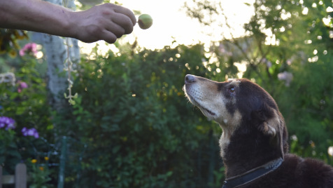 Zdjęcie aktualizacji 100 090