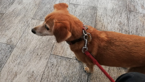 Zdjęcie aktualizacji 100 091