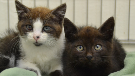 Zdjęcie aktualizacji 100 149