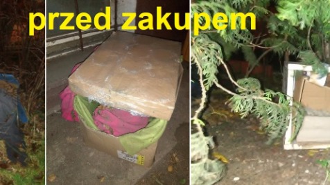 Zdjęcie aktualizacji 10 017