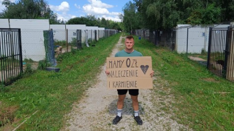 Zdjęcie aktualizacji 100 190