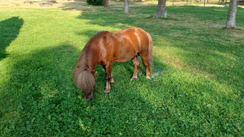 Zdjęcie aktualizacji 100 218