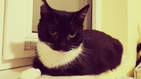 Zdjęcie aktualizacji 100 251