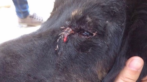 Zdjęcie aktualizacji 100 370