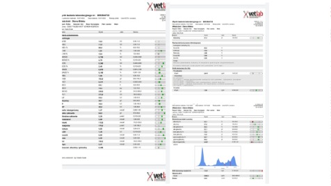Zdjęcie aktualizacji 100 372
