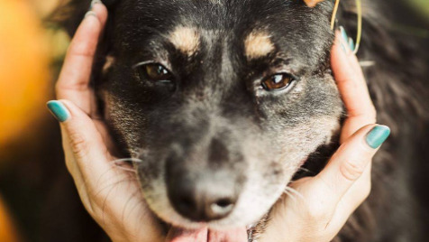 Zdjęcie aktualizacji 100 626