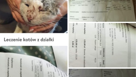 Zdjęcie aktualizacji 100 989