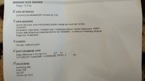 Zdjęcie aktualizacji 101 207