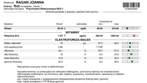 Zdjęcie aktualizacji 101 220