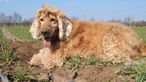 Zdjęcie aktualizacji 101 885