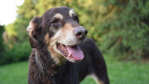 Zdjęcie aktualizacji 101 886