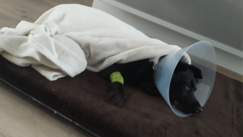 Zdjęcie aktualizacji 101 967