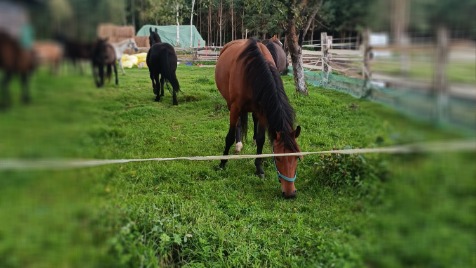 Zdjęcie aktualizacji 102 222