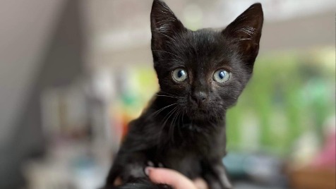 Zdjęcie aktualizacji 102 450