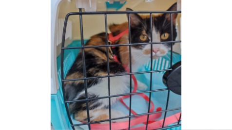 Zdjęcie aktualizacji 102 493