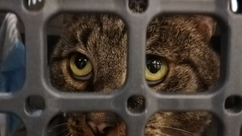 Zdjęcie aktualizacji 102 506