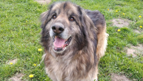 Zdjęcie aktualizacji 102 507