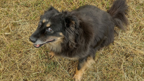 Zdjęcie aktualizacji 102 508