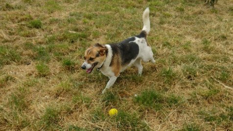 Zdjęcie aktualizacji 102 509