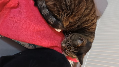 Zdjęcie aktualizacji 102 560