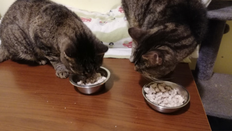 Zdjęcie aktualizacji 102 832