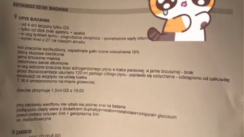 Zdjęcie aktualizacji 102 899