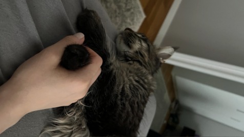 Zdjęcie aktualizacji 102 929