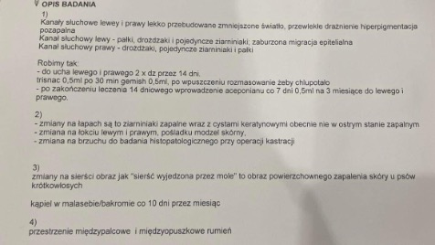 Zdjęcie aktualizacji 103 201