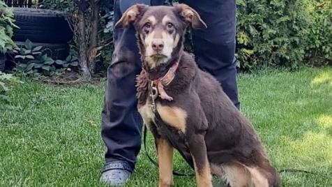 Zdjęcie aktualizacji 103 426