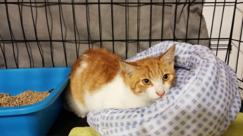 Zdjęcie aktualizacji 103 427