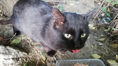 Zdjęcie aktualizacji 103 430