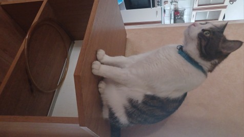 Zdjęcie aktualizacji 103 538