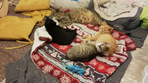 Zdjęcie aktualizacji 103 615