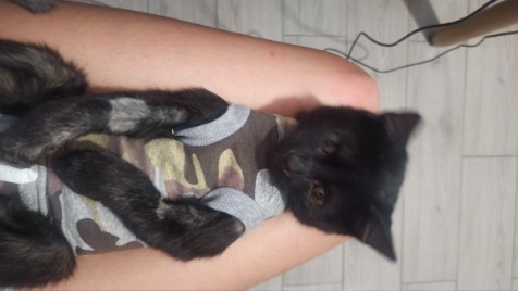 Zdjęcie aktualizacji 103 795