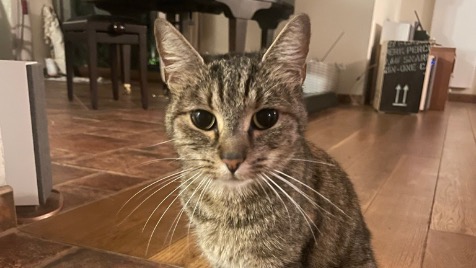 Zdjęcie aktualizacji 104 037