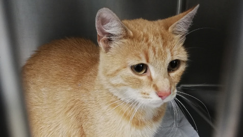 Zdjęcie aktualizacji 104 067