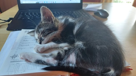 Zdjęcie aktualizacji 104 285