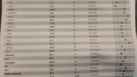 Zdjęcie aktualizacji 104 486