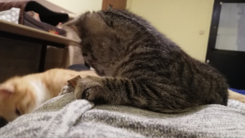 Zdjęcie aktualizacji 104 759