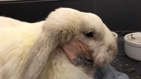 Zdjęcie aktualizacji 104 935