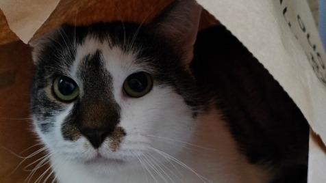 Zdjęcie aktualizacji 105 204