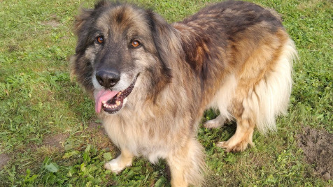 Zdjęcie aktualizacji 105 650