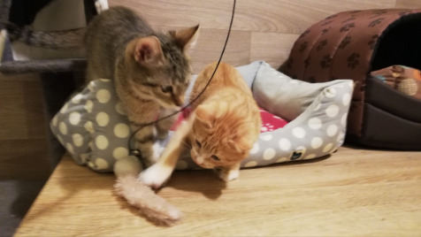 Zdjęcie aktualizacji 105 652