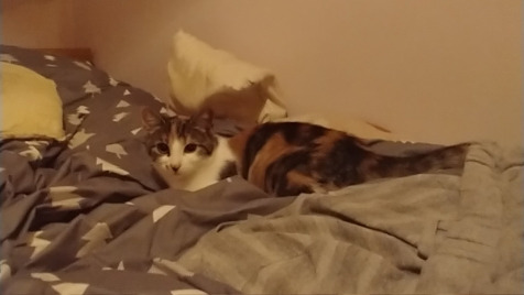 Zdjęcie aktualizacji 105 653