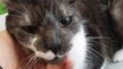 Zdjęcie aktualizacji 106 264